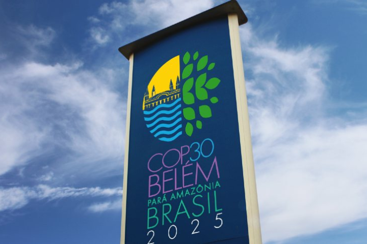 Conferência das Nações Unidas sobre Mudança do Clima é o principal fórum internacional de sobre políticas ambientais globais. Foto: Reprodução