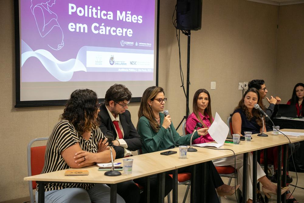 Audiência Pública sobre a política institucional Mães em Cárcere