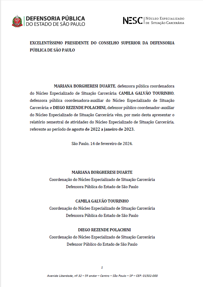 Relatório Semestral do NESC - Agosto de 2022 a Janeiro de 2023